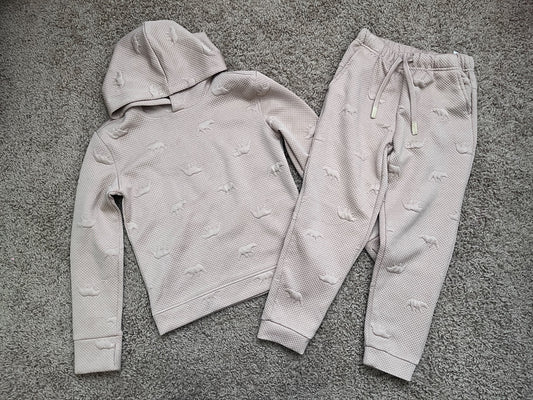 Boy, 2 piece long sleeve hooded top and jogger set, 6T, Kids 6/6X