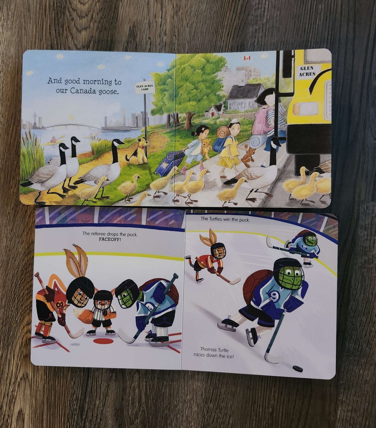 Board Books - Hockey & Canada