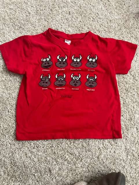 Size 3 tees (x6), Kids 3T