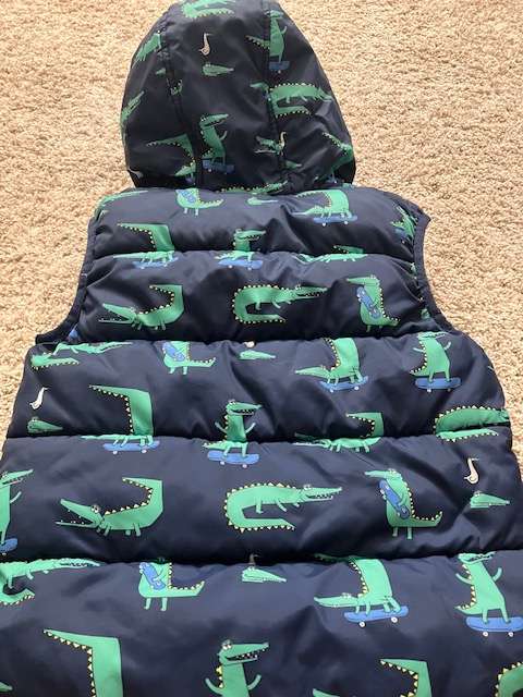 Puffy vest size 5 - dinosaurs, Kids 5/5T