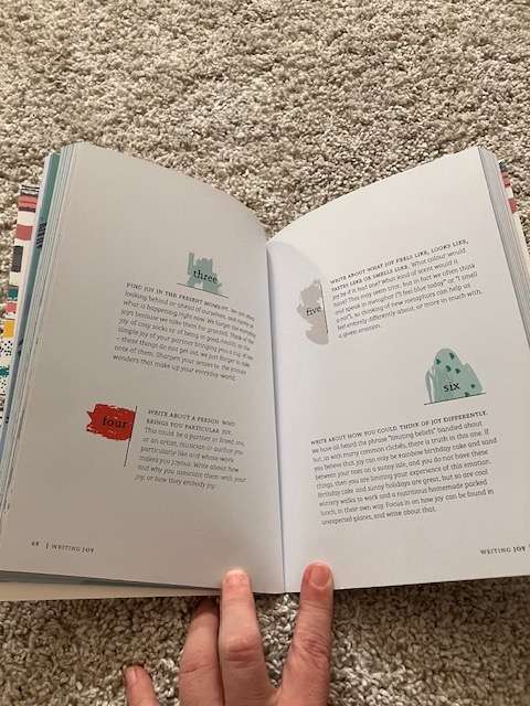 Wellness journals (3)