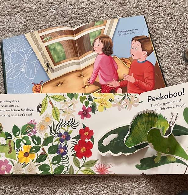 Nature board books (2)