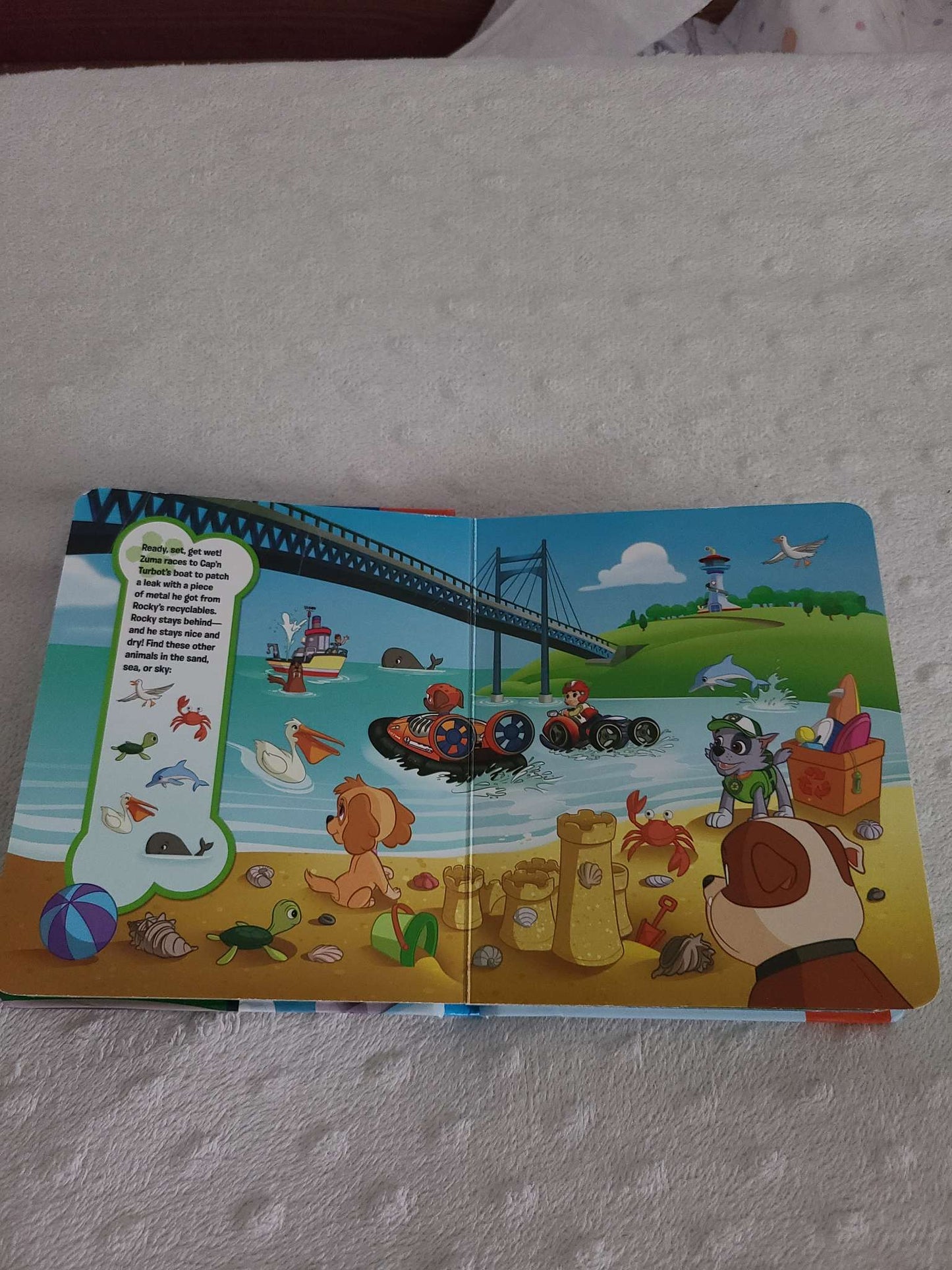 Little first look and find books