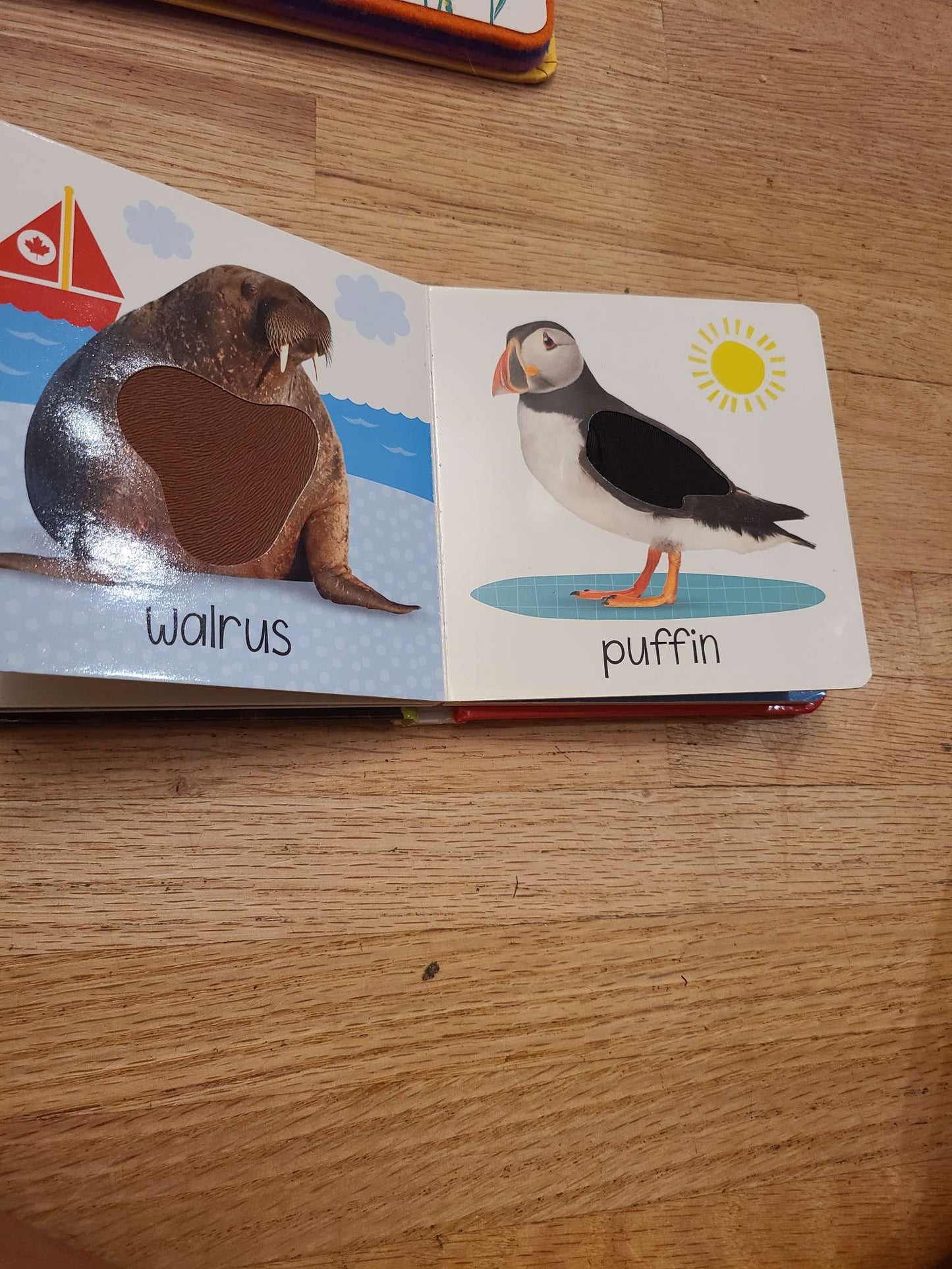 Touch and feel books.. 2 pcs