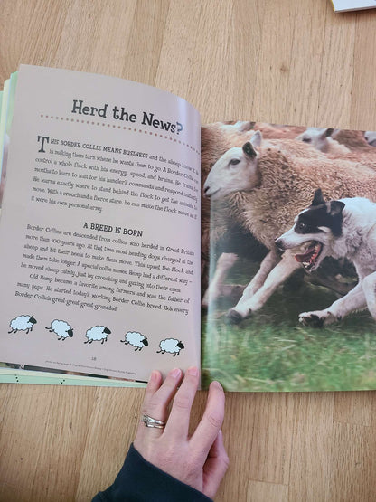 Dog heros book