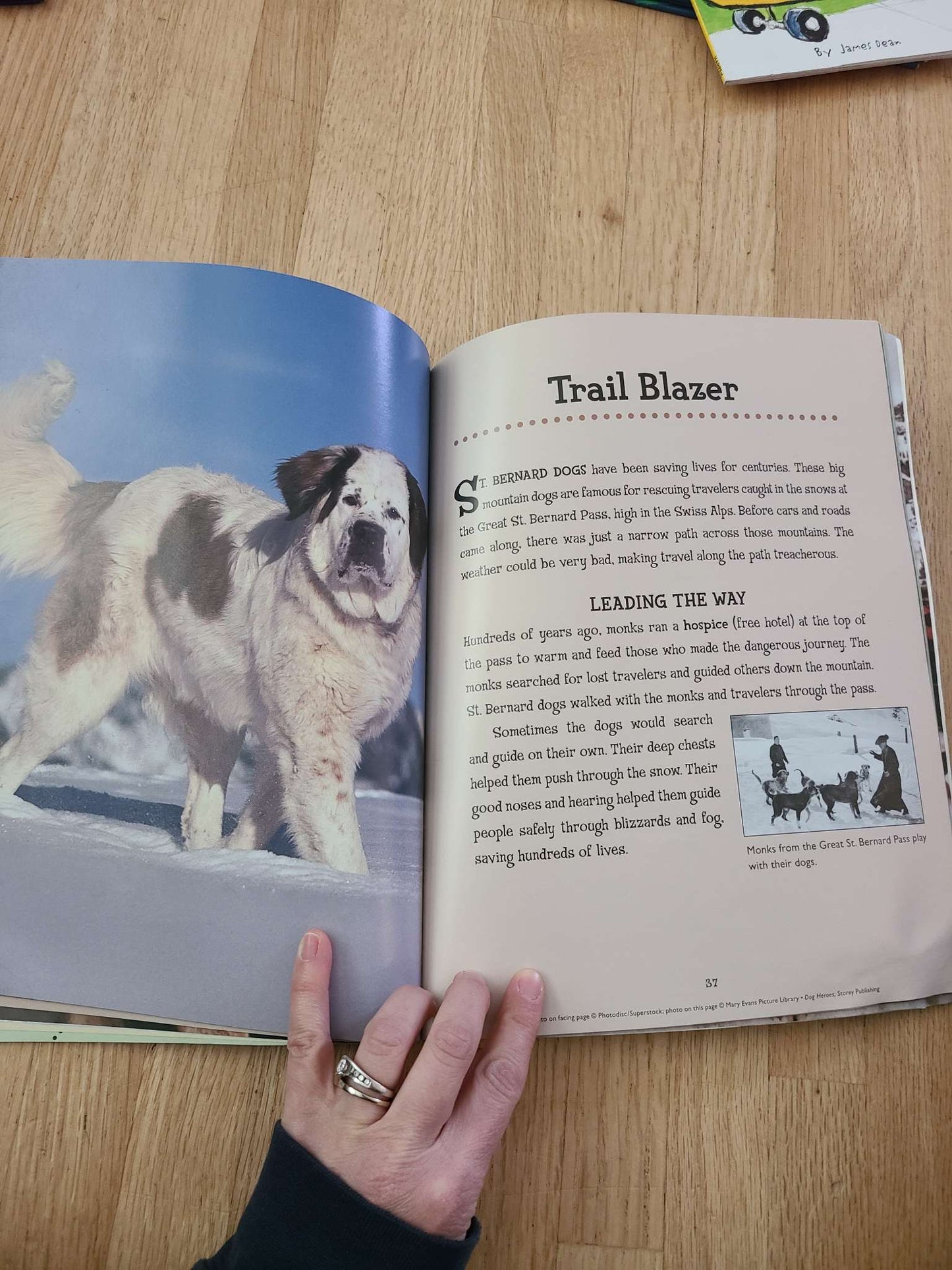 Dog heros book