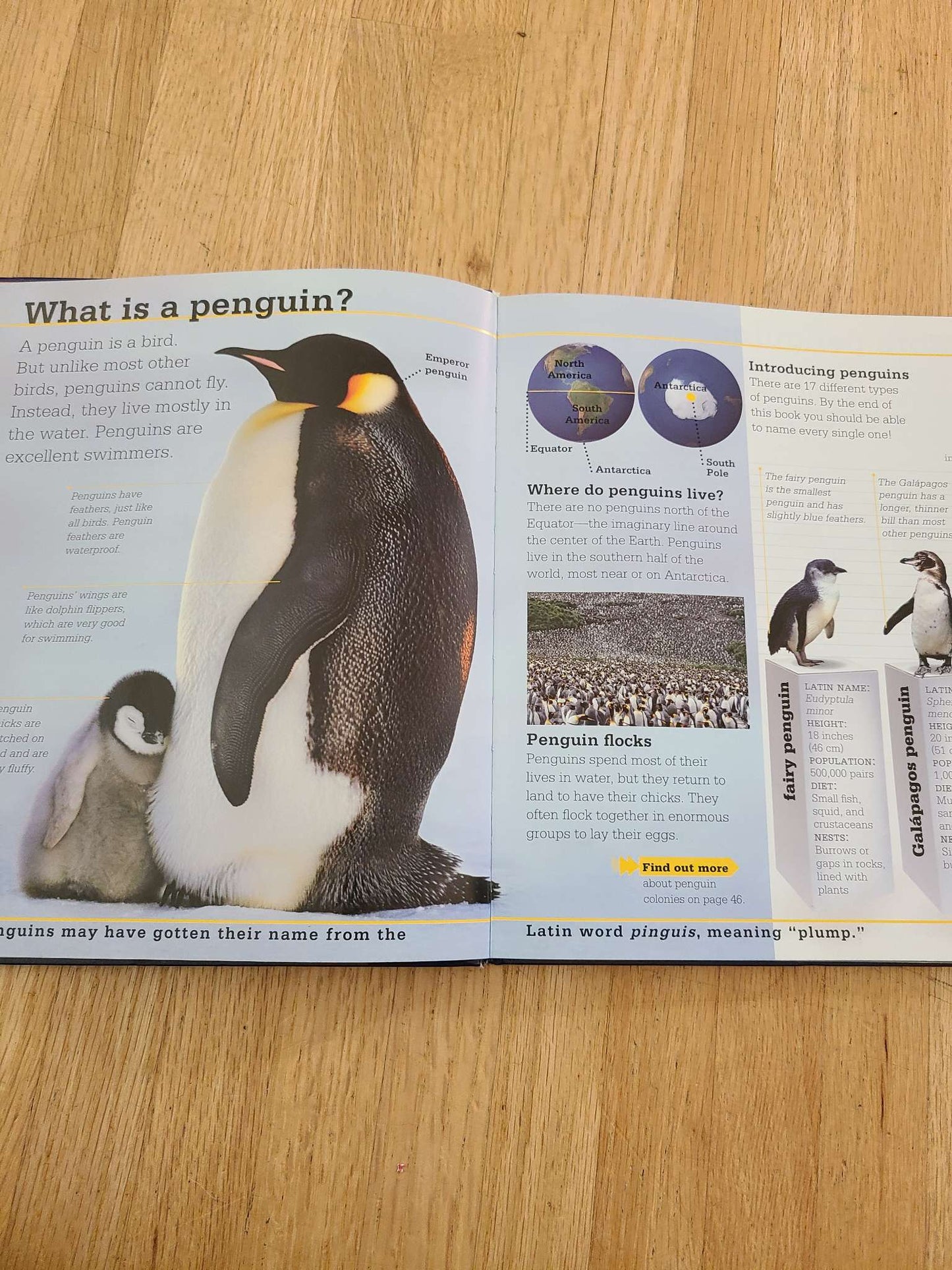 Penguins