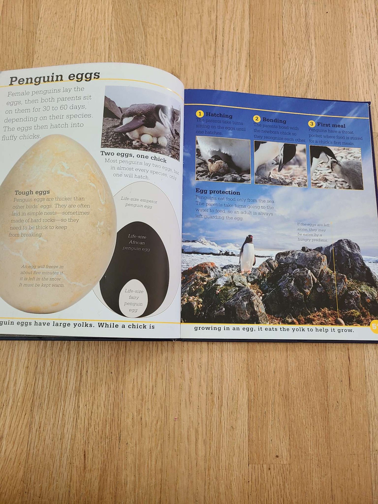 Penguins