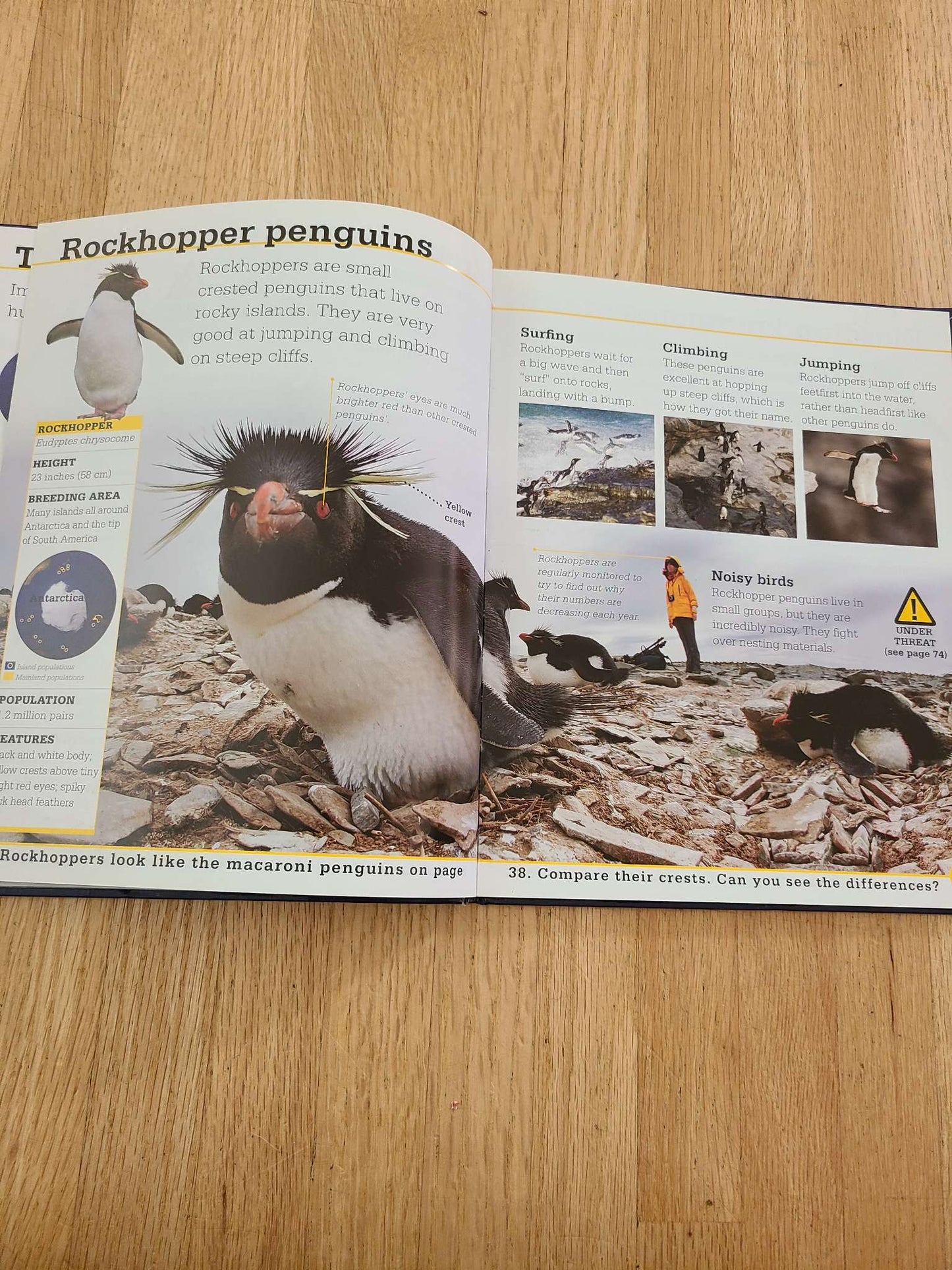 Penguins