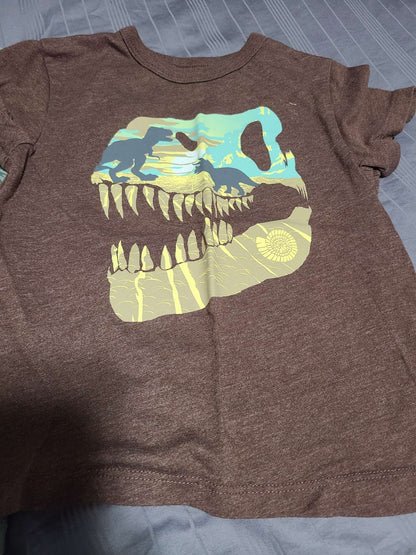 4T dinosaur t-shirts , Kids 4/4T