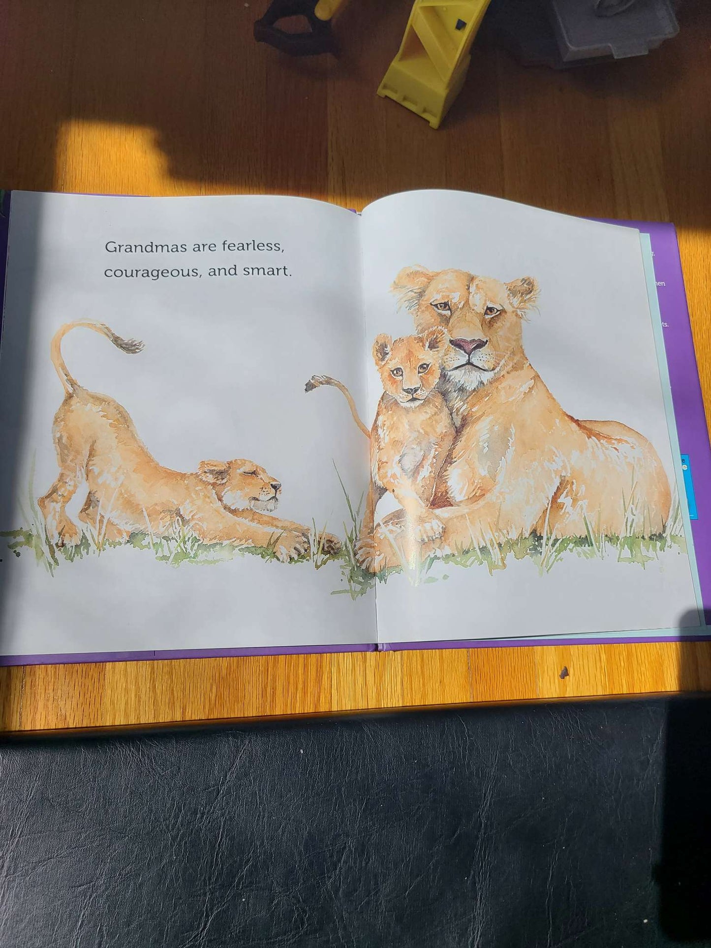 Grandma's lovely book