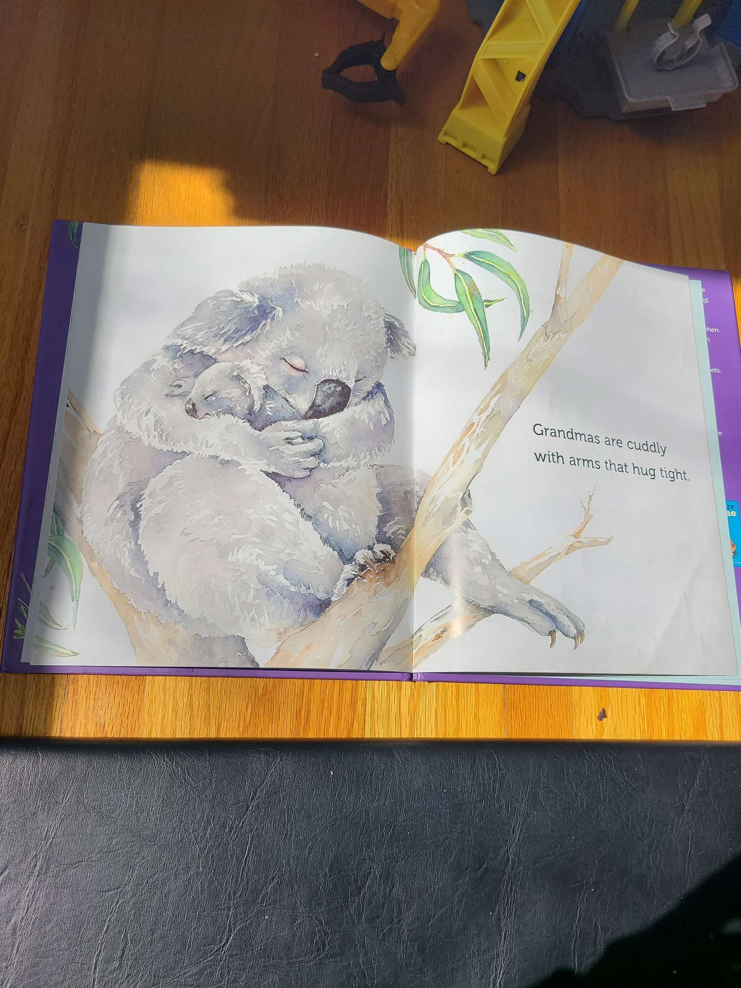 Grandma's lovely book