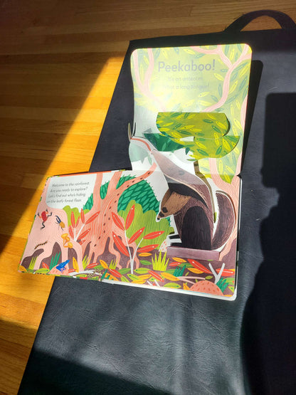 Pop up peekaboo rainforest
