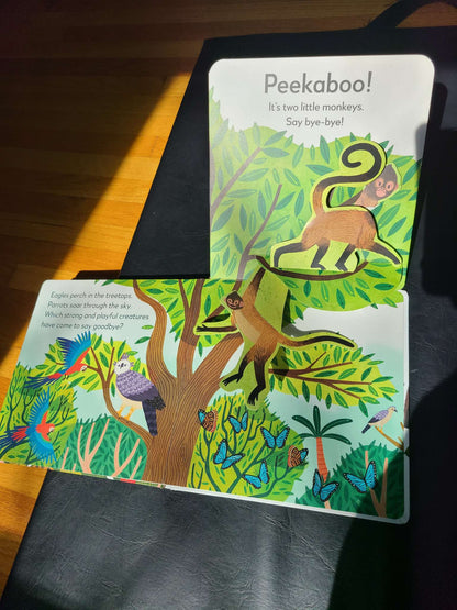 Pop up peekaboo rainforest