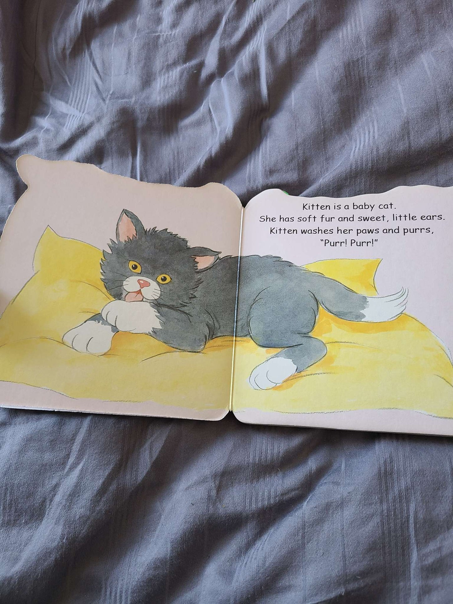 Baby animal books