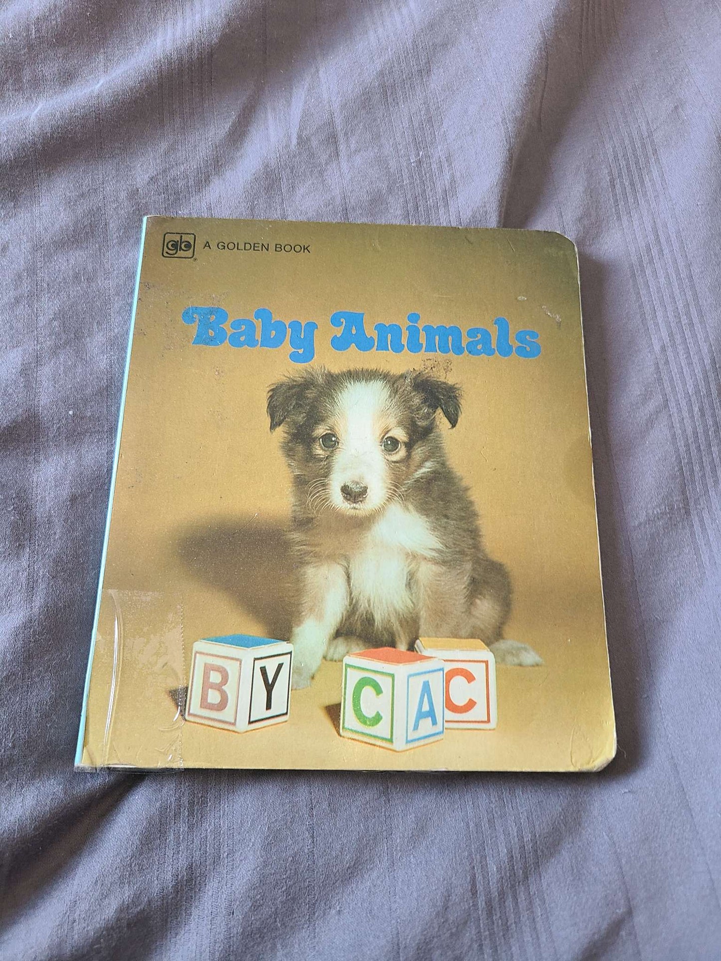 Baby animal books