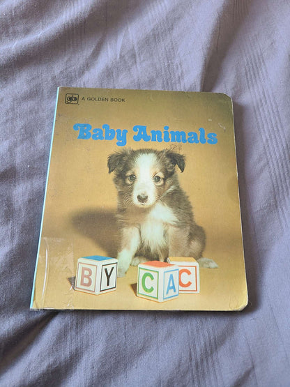 Baby animal books