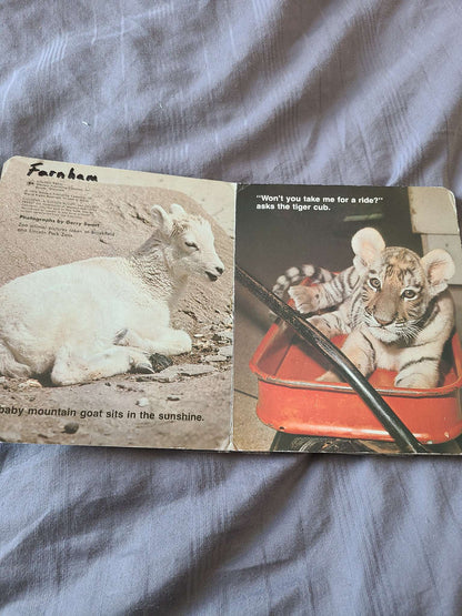 Baby animal books