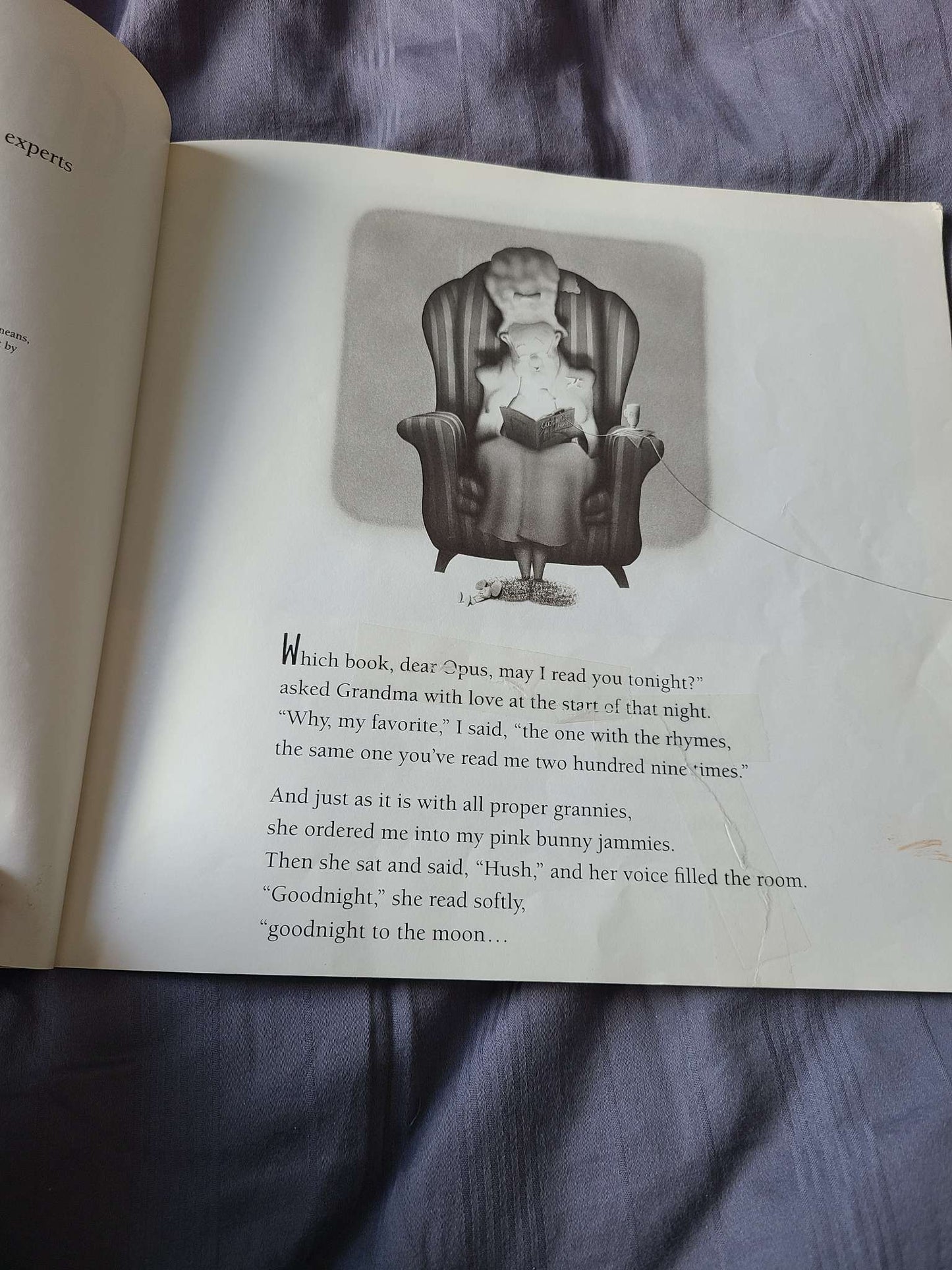 Goodnight opus book