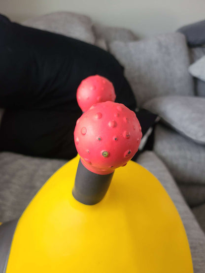 B toys ride on inflatable bee with pump retail 30