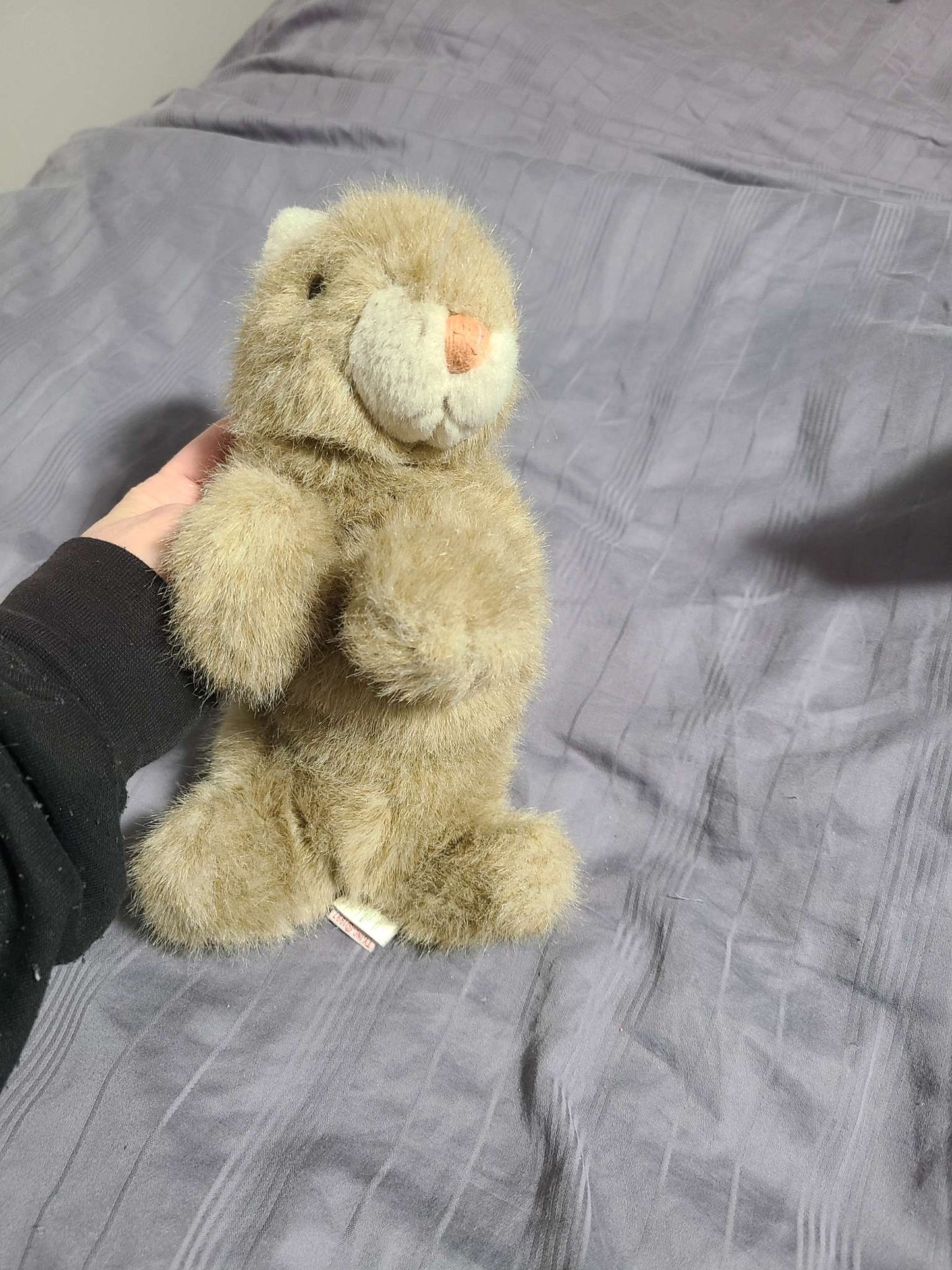 Ty Bunny stuffy