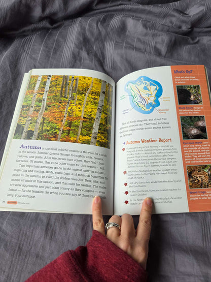 Woods walk book