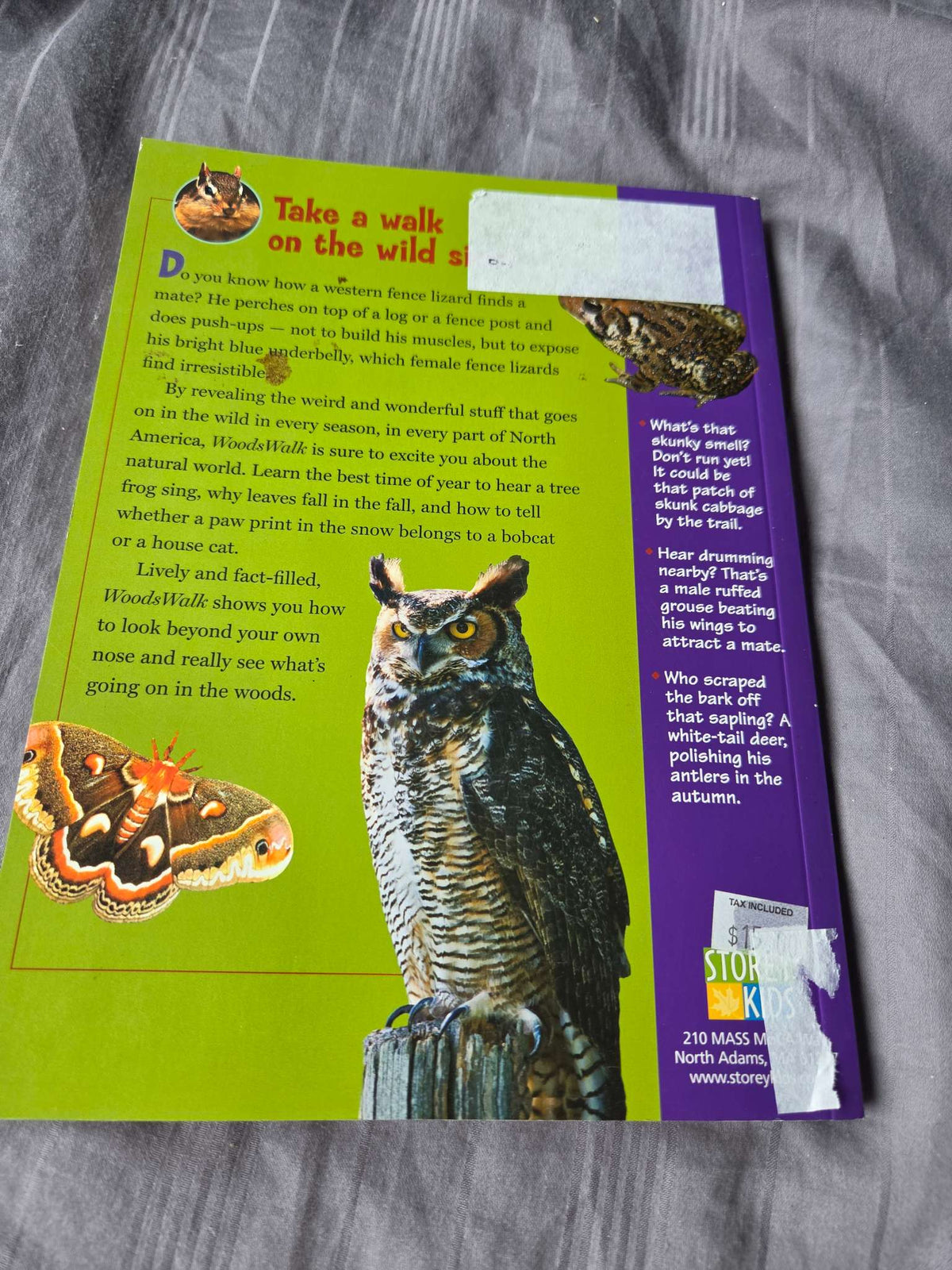 Woods walk book