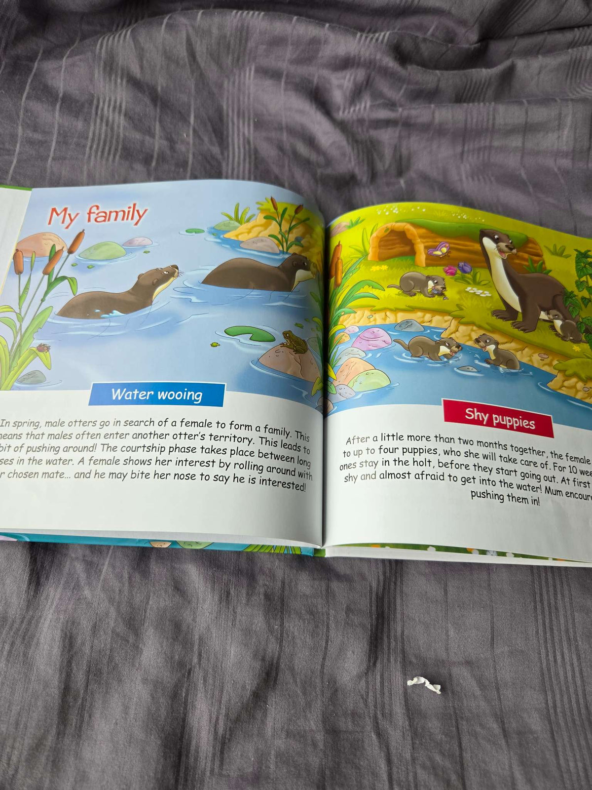 Animals in the field books