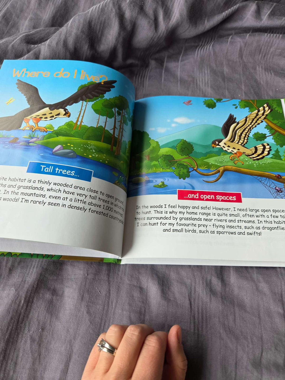 Animals in the field books