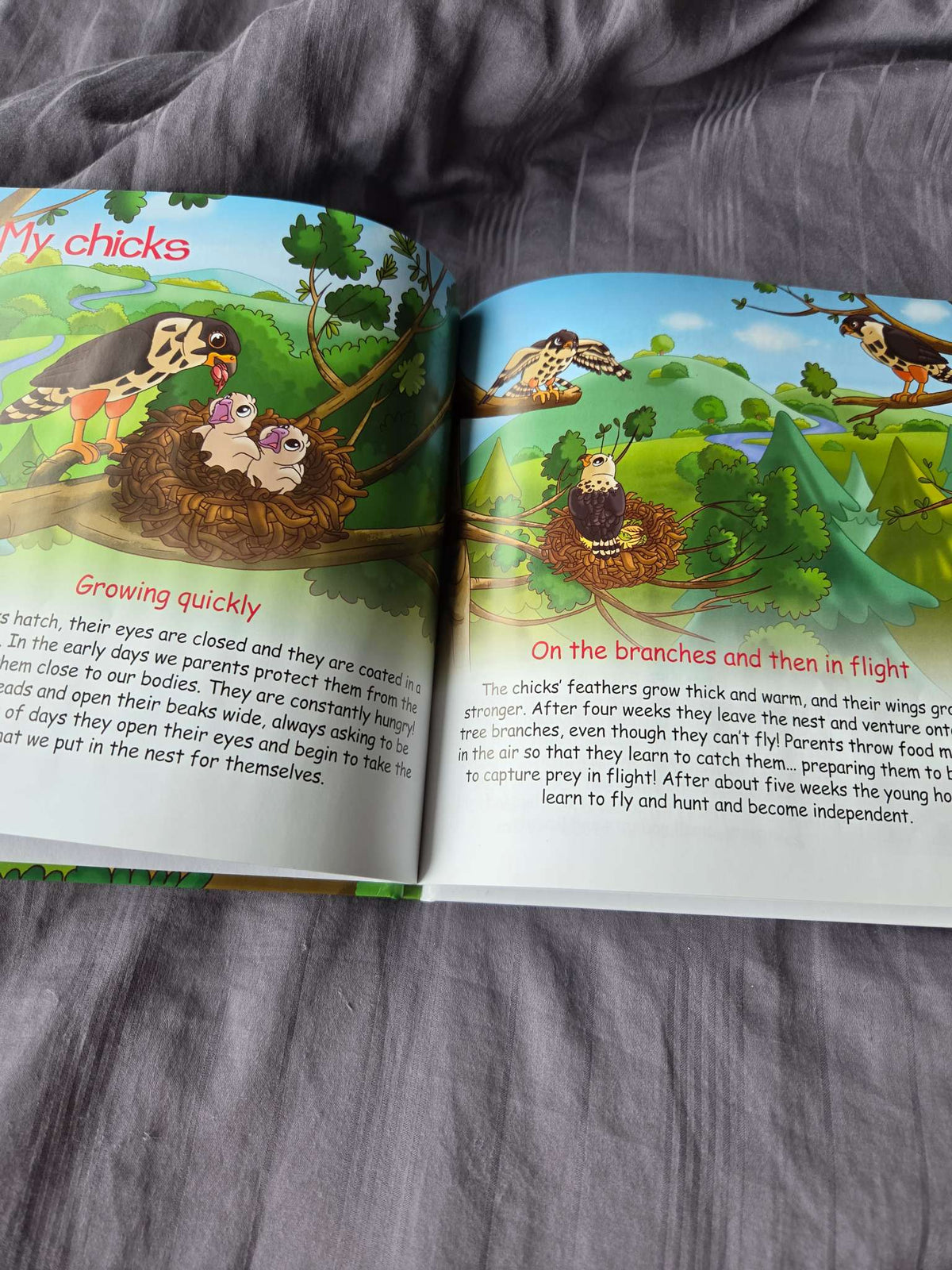 Animals in the field books