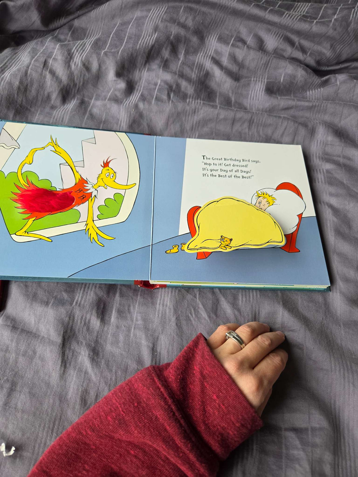 Board books ( dr. Seuss and curious george)