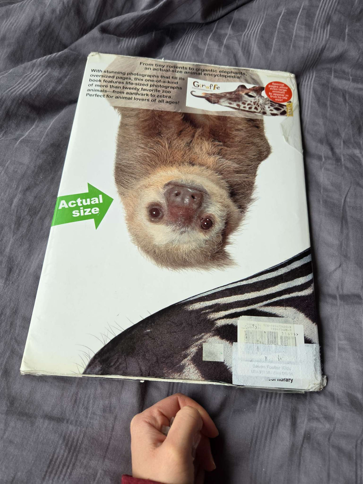 Life size zoo