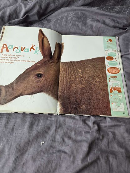 Life size zoo
