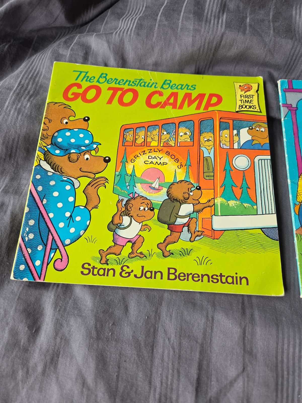 The berenstain bears books ( go to camp, and blame game)