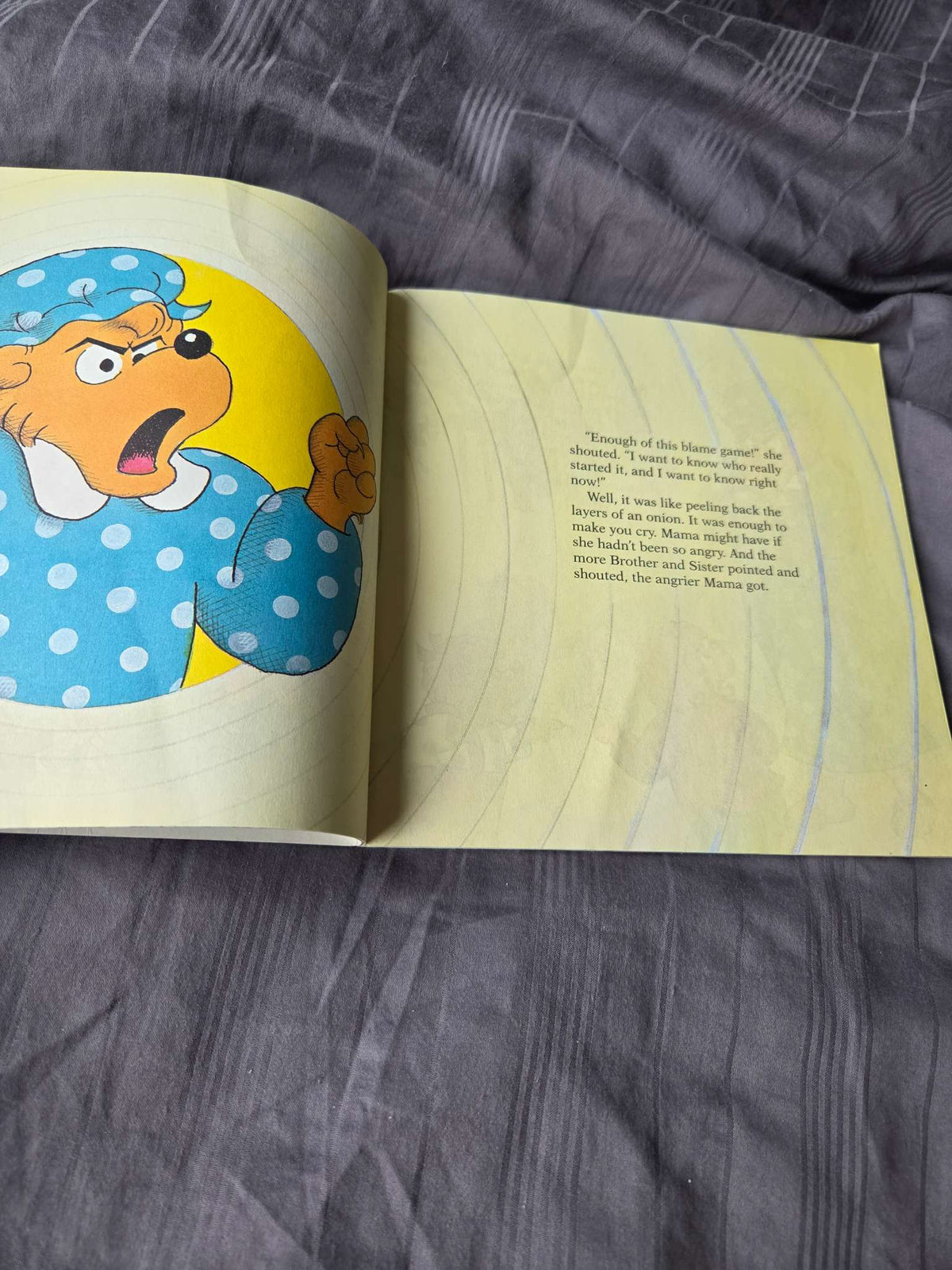 The berenstain bears books ( go to camp, and blame game)