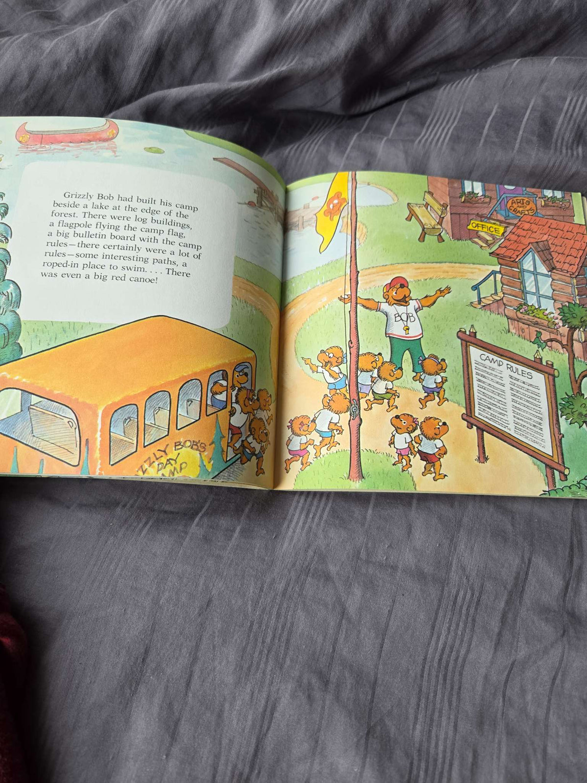 The berenstain bears books ( go to camp, and blame game)
