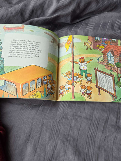 The berenstain bears books ( go to camp, and blame game)