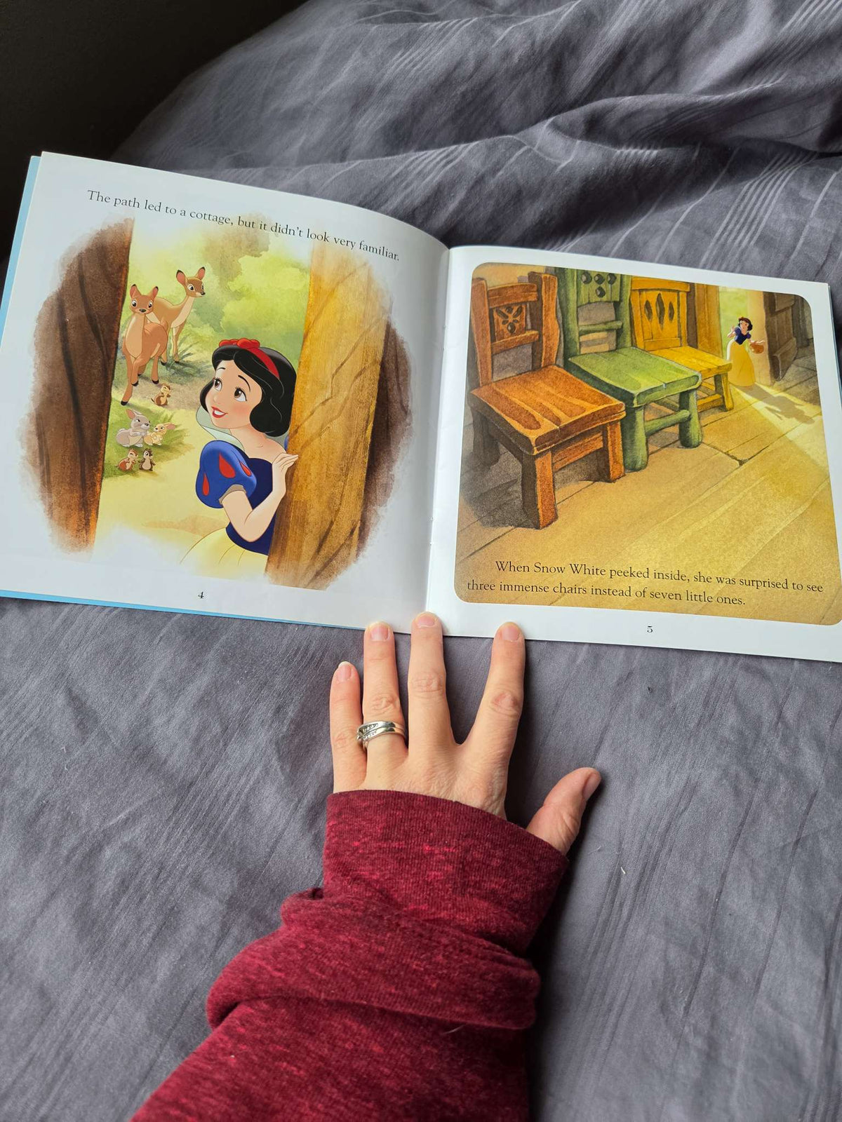 Disney books ( snow white and the theree giants and Robin hood)