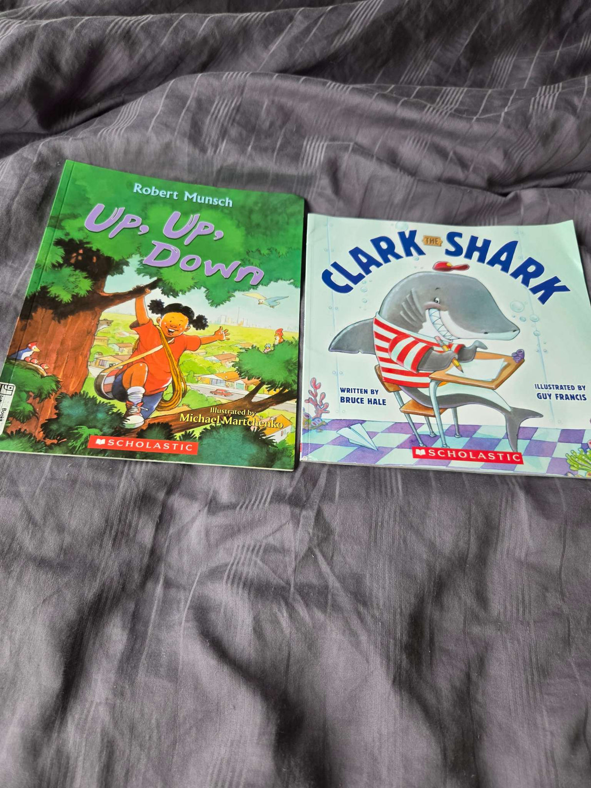 Scholastic books ( up, up down and Clark the shark)