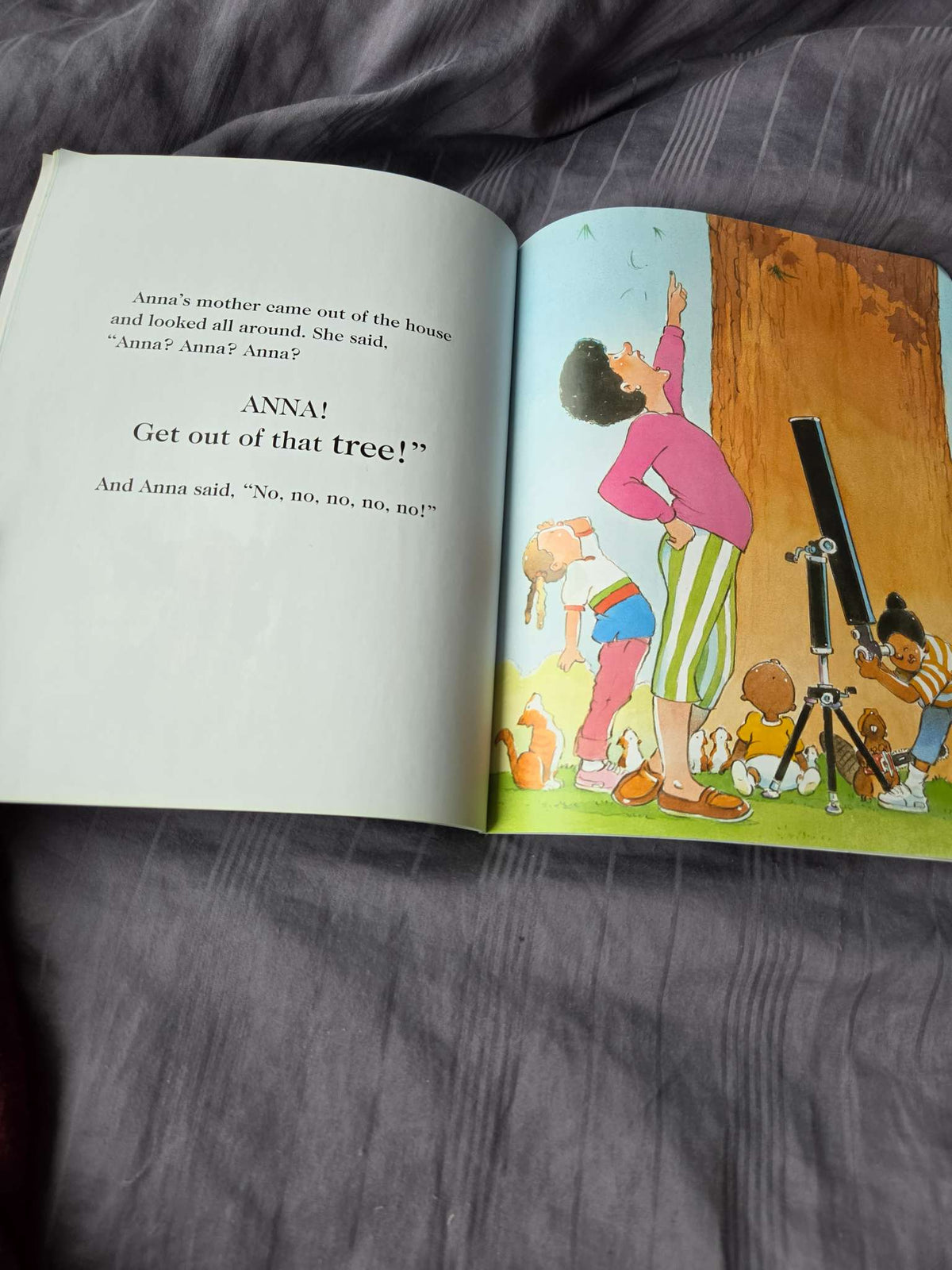 Scholastic books ( up, up down and Clark the shark)