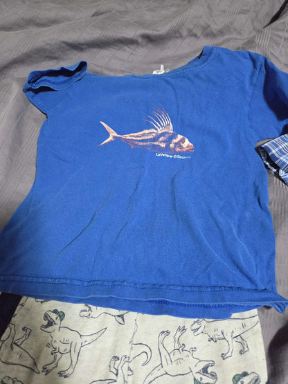 2T outfit, Kids 2T