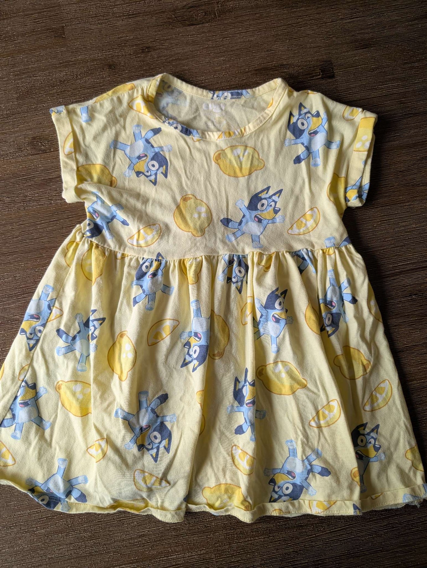 Bluey dress, Kids 5/5T (extra small)