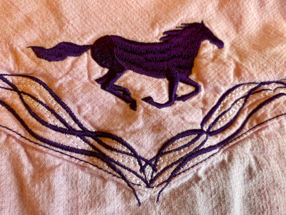 3-4T Levi & Cowgirl Hardware shirts