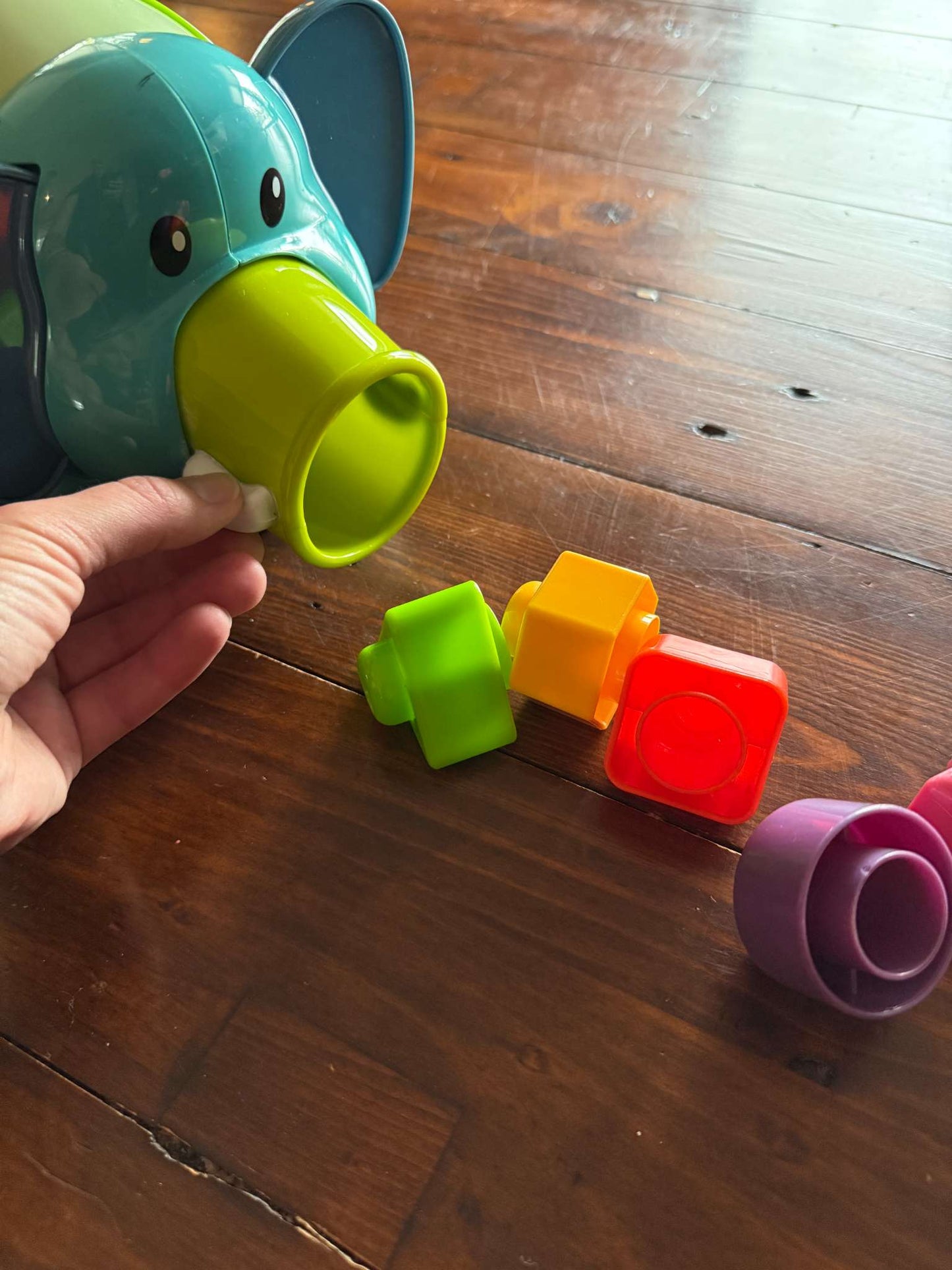 Elephant Shape Sorter