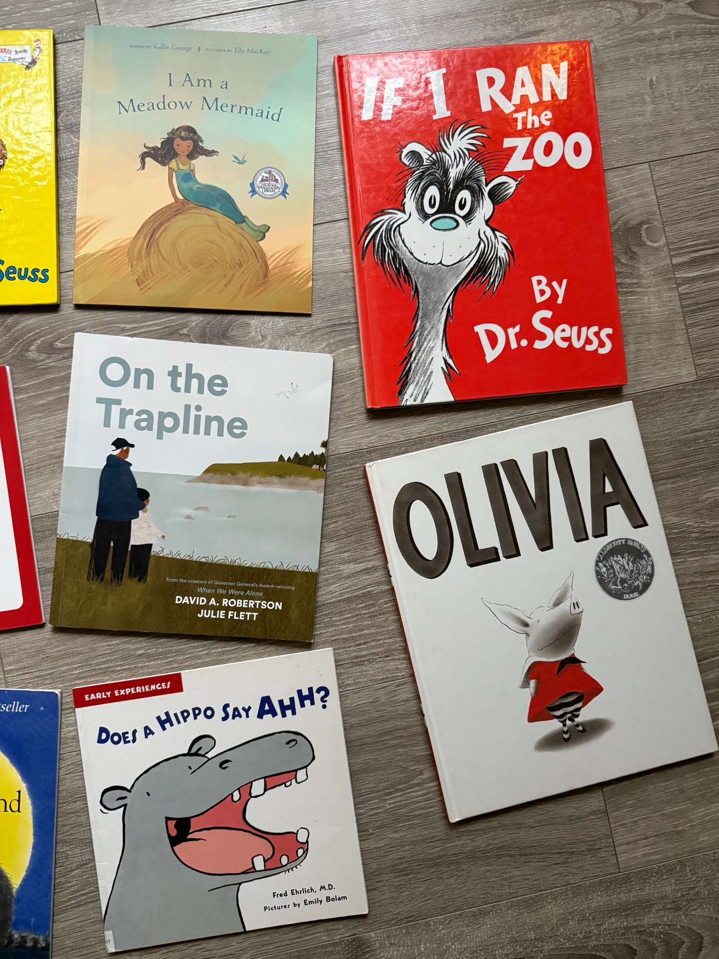 Preschool/Early Elementary Storybook Collection