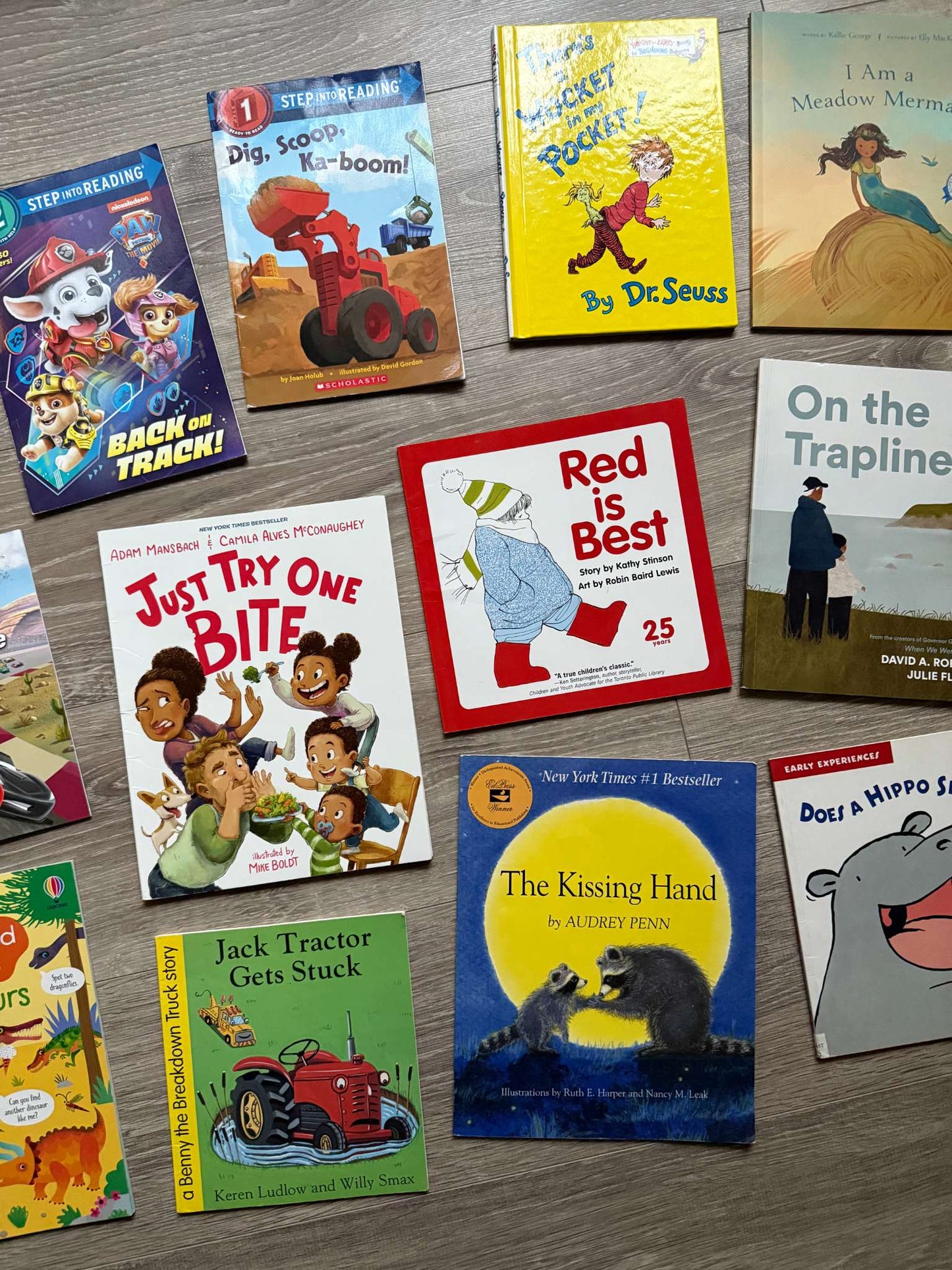 Preschool/Early Elementary Storybook Collection
