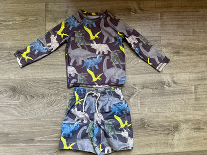 Baby Gap Swim Suit + Rash Guard 2T, Kids 2T