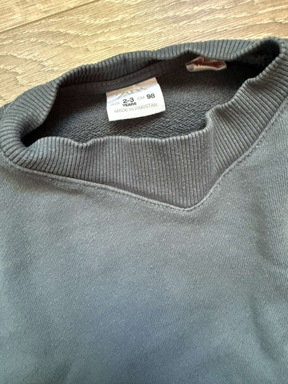 Zara sweatshirt size 2/3, Kids 2T