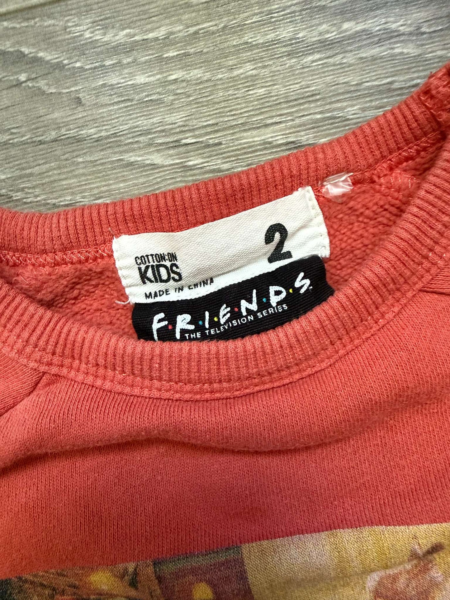 Cotton On Friends Holiday Armadillo sweatshirt size 2T, Kids 2T