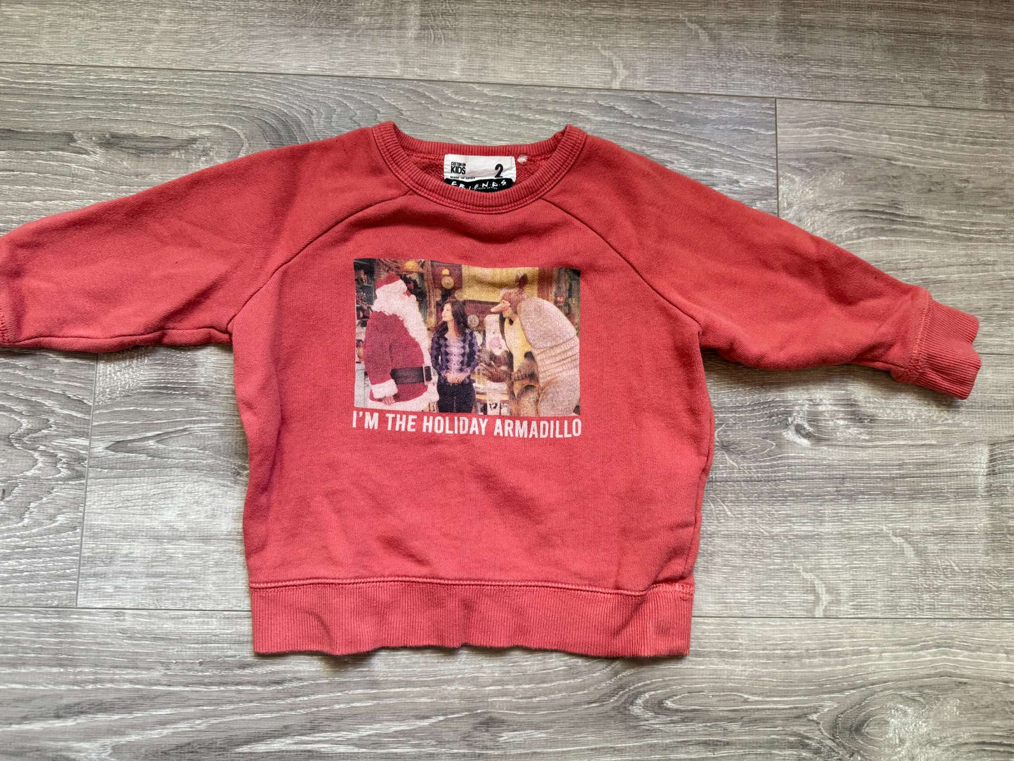 Cotton On Friends Holiday Armadillo sweatshirt size 2T, Kids 2T